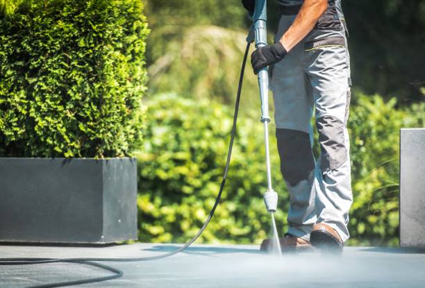 Best Driveway Pressure Washing  in Coldspring, TX